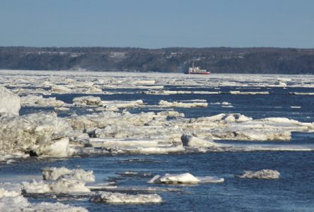 Le pétrole dans le Saint-Laurent