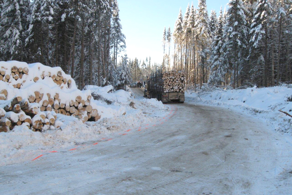 Décès d’un travailleur forestier en 2014:  la CNESST dépose son rapport