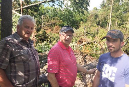 L’acériculteur de Saint-Ubalde Steve Perron a obtenu de l’aide