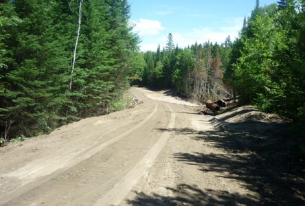 Vélopiste Jacques-Cartier – Portneuf: ça roule jusqu’à Rivière-à-Pierre