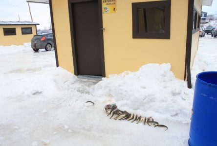 La température est bonne pour la pêche à Sainte-Anne-de-la-Pérade