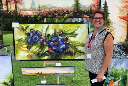 Un Rendez-vous des arts coloré à Deschambault-Grondines