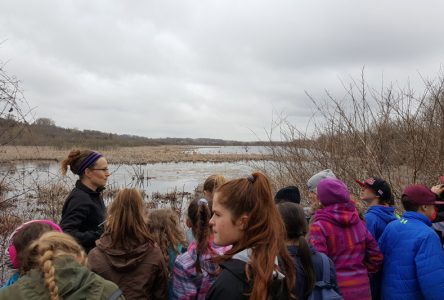 Investissement au Marais Provancher à Neuville