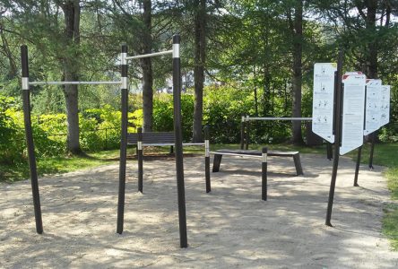 Des exerciseurs dans le parc