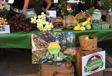 Retour du marché public de Saint-Raymond