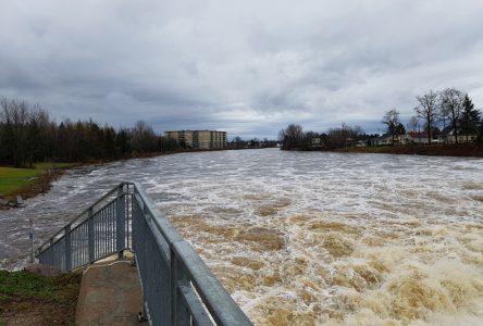 Rivières sous surveillance dans Portneuf