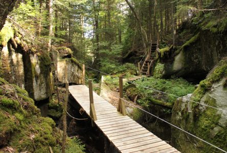 Formation pour travailler en plein air