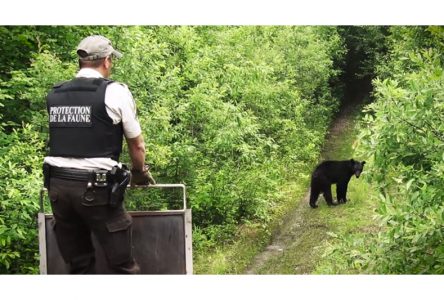 Les agents de la faune fêtent leurs 150 ans