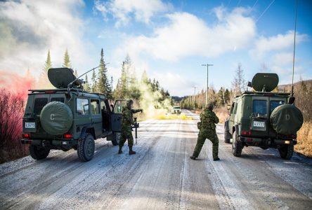 Exercice militaire à Saint-Basile, Sainte-Catherine et Pont-Rouge