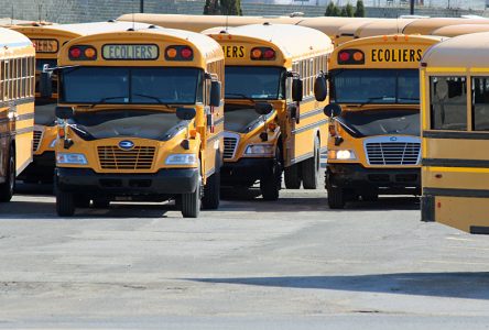 Transport scolaire : la grève évitée dans Portneuf