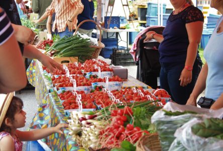 De nouvelles manières de goûter Portneuf au Marché public de Deschambault