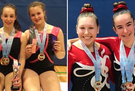 Trois gymnastes au championnat québécois