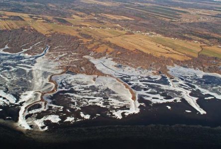 Marécage de Grondines: l’aire protégée s’agrandit