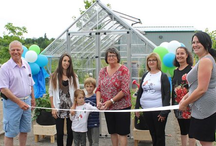 Sainte-Christine d’Auvergne inaugure sa serre collective