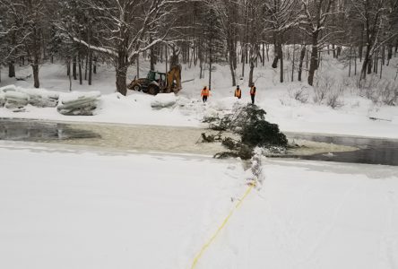 Saint-Raymond installe une nouvelle  estacade flottante