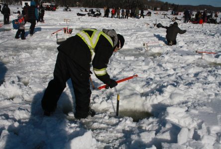 Bonhomme en visite au lac Sept-Îles