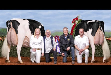 Une championne mondiale à la Ferme Jacobs