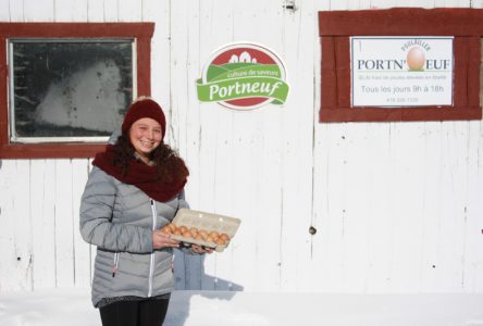 Une agricultrice et ses poules en liberté