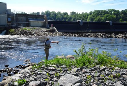 Pêche au saumon expérimentale sur la Jacques-Cartier