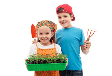 Des jeunes dans le jardin et à l’érablière