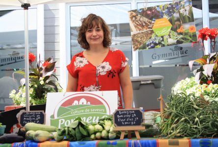 Retour du marché public à Saint-Raymond