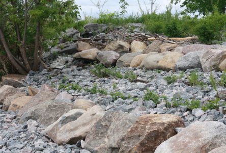 Une solution à l’érosion riveraine à Deschambault