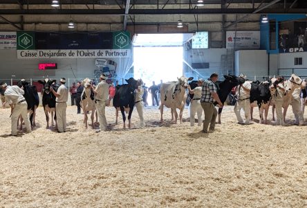 L’Expo agricole de Portneuf a fait le plein de visiteurs