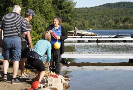 Lac-Sergent veut étouffer le myriophylle