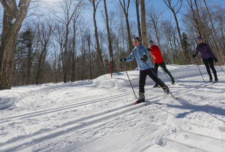 Journée d’hiver Sépaq 2020: accès gratuit à Duchesnay