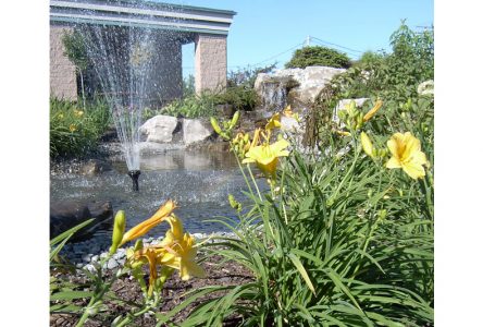 Coup de cœur pour le nom d’un parc à Sainte-Catherine-de-la-Jacques-Cartier