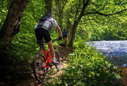 Du vélo de montagne dans cinq municipalités