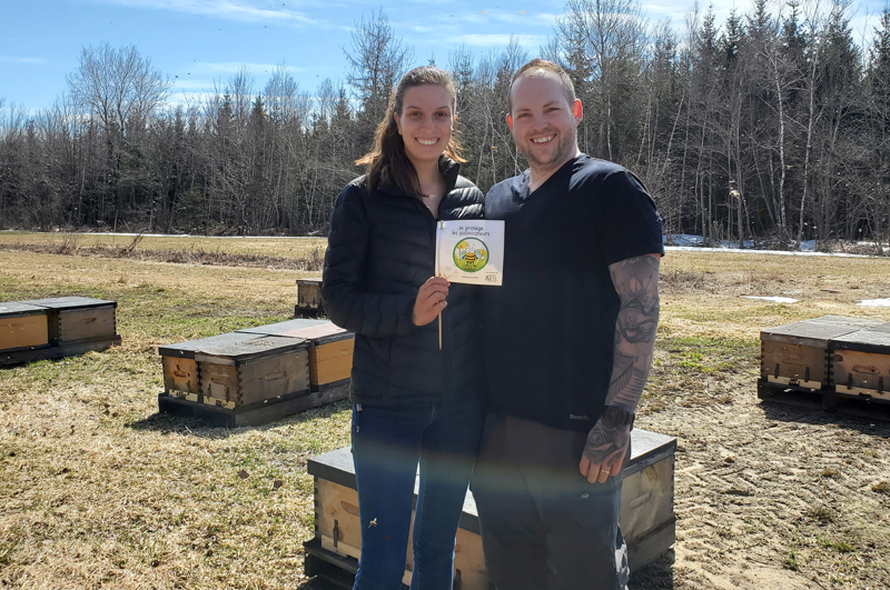 Un premier «défi pissenlit» pour sauver les insectes pollinisateurs