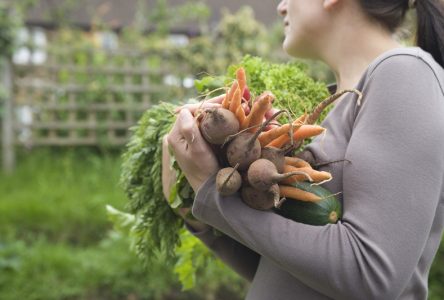 Subvention pour des jeunes en agriculture