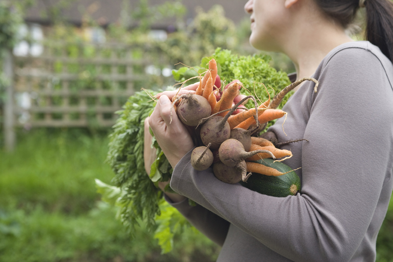 Subvention pour des jeunes en agriculture