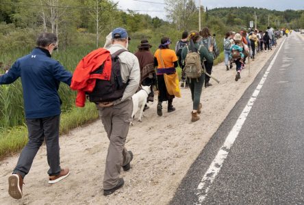 Grande Marche pour la protection des forêt: un rassemblement aura lieu à Deschambault