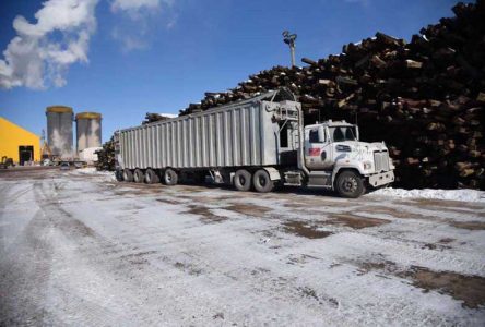 La CNESST conclut que le déplacement d’un camion a causé le décès d’un travailleur à Saint-Basile