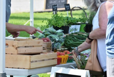 Le Marché public de Saint-Augustin prépare sa deuxième saison