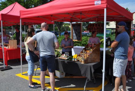 Vers un été foisonnant pour les marchés publics portneuvois