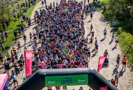Plus de 1 900 participants au Trail du Coureur des Bois de Duchesnay 