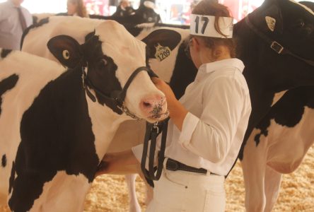 Un très beau succès d’Exposition agricole de Portneuf