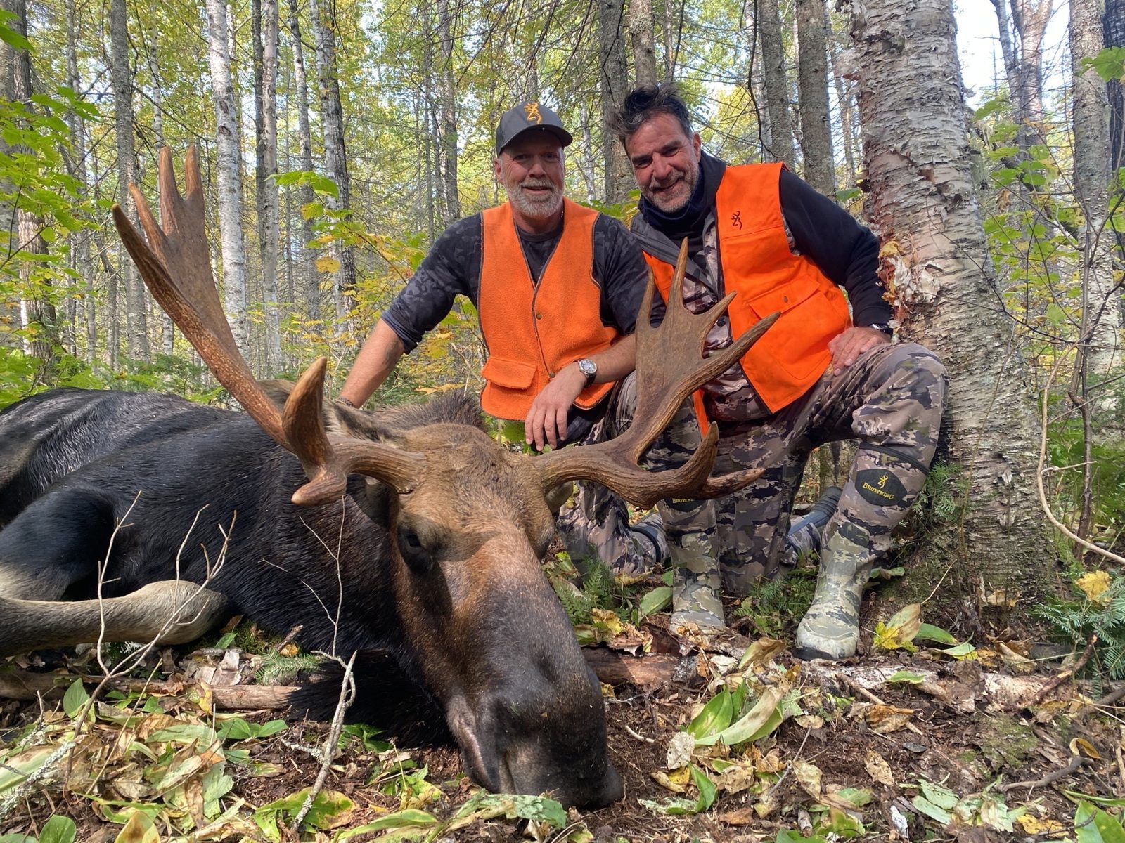 Chasseurs d’orignaux ! Êtes-vous prêts?