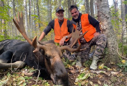 Chasseurs d’orignaux ! Êtes-vous prêts?