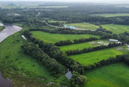 L’eau en milieu agricole et le projet Eau pour maraîchers