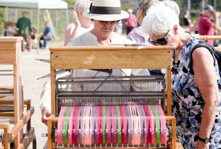 Le grand retour du Festival du lin