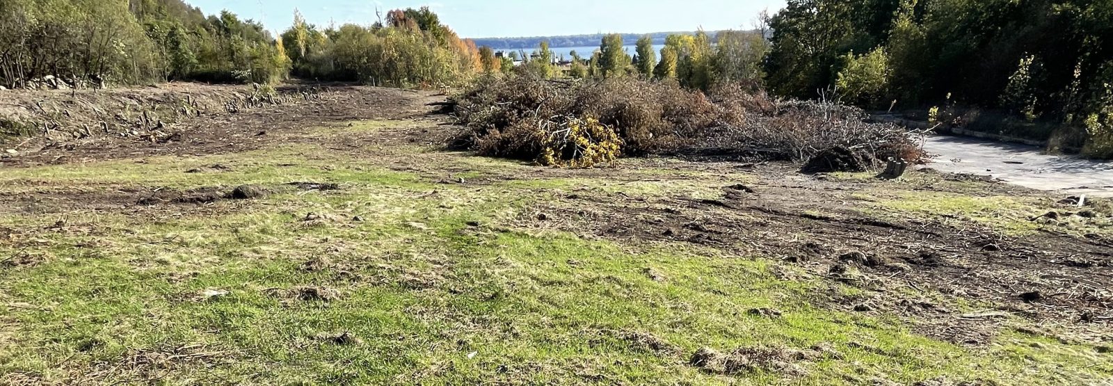 Début des travaux sur le site AbitibiBowater