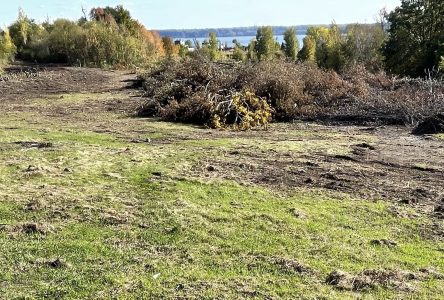 Début des travaux sur le site AbitibiBowater