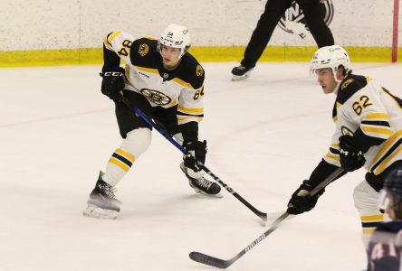 Félix Plamondon a porté le numéro 84 des Bruins!