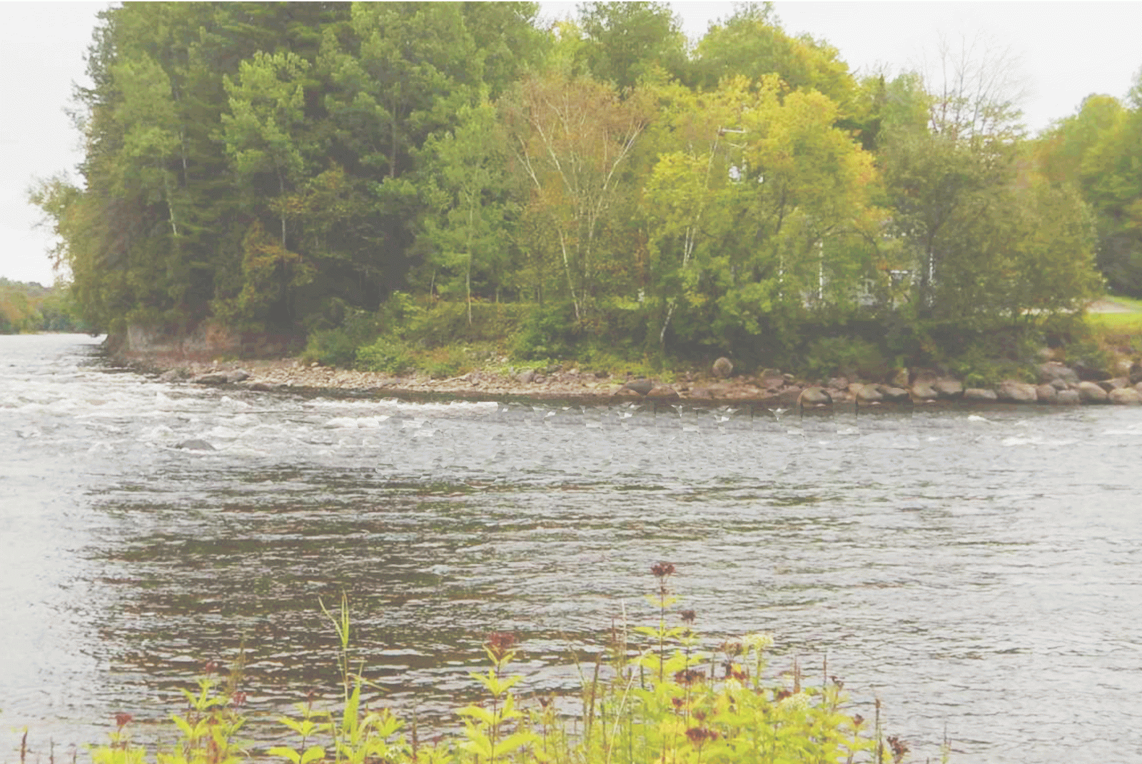 Protection pour la source d’eau potable de Donnacona