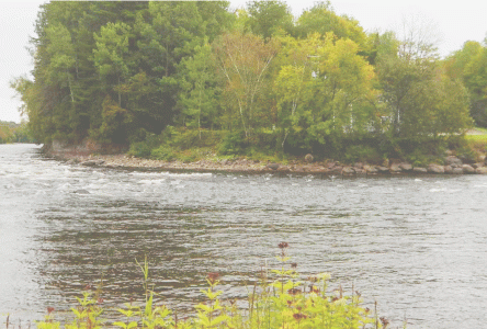 Protection pour la source d’eau potable de Donnacona